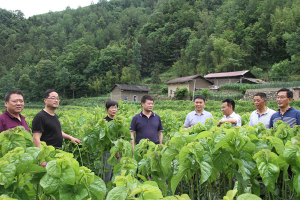 安康市商務(wù)局領(lǐng)導來我公司調(diào)研春蠶收購及扶貧點蠶?；亟ㄔO(shè)情況